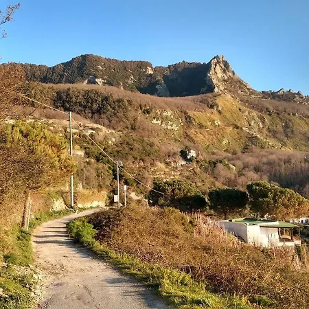 Thomas Bb Conduzione Familiare 2* Forio di Ischia