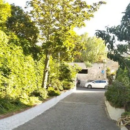 Thomas Bb Conduzione Familiare Готель типу 