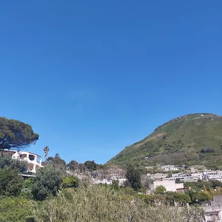 Thomas Bb Conduzione Familiare Bed & Breakfast Forio di Ischia