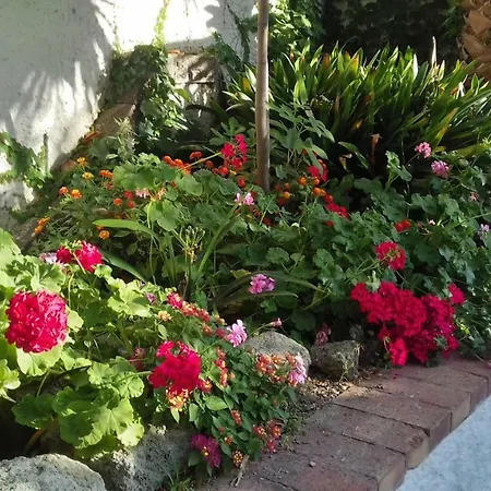 Bed & Breakfast Thomas Bb Conduzione Familiare